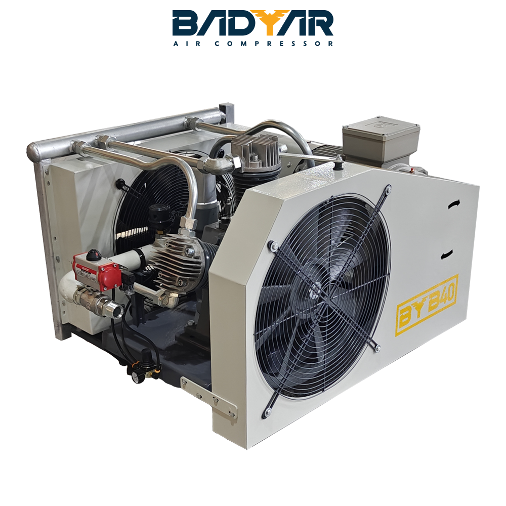 Compressor booster