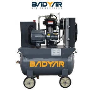 Small-sized screw compressor